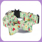 Collar-236